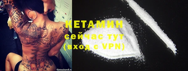 прущие грибы Балабаново