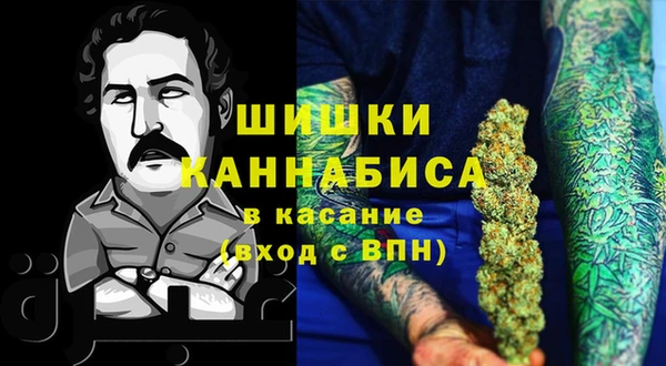прущие грибы Балабаново